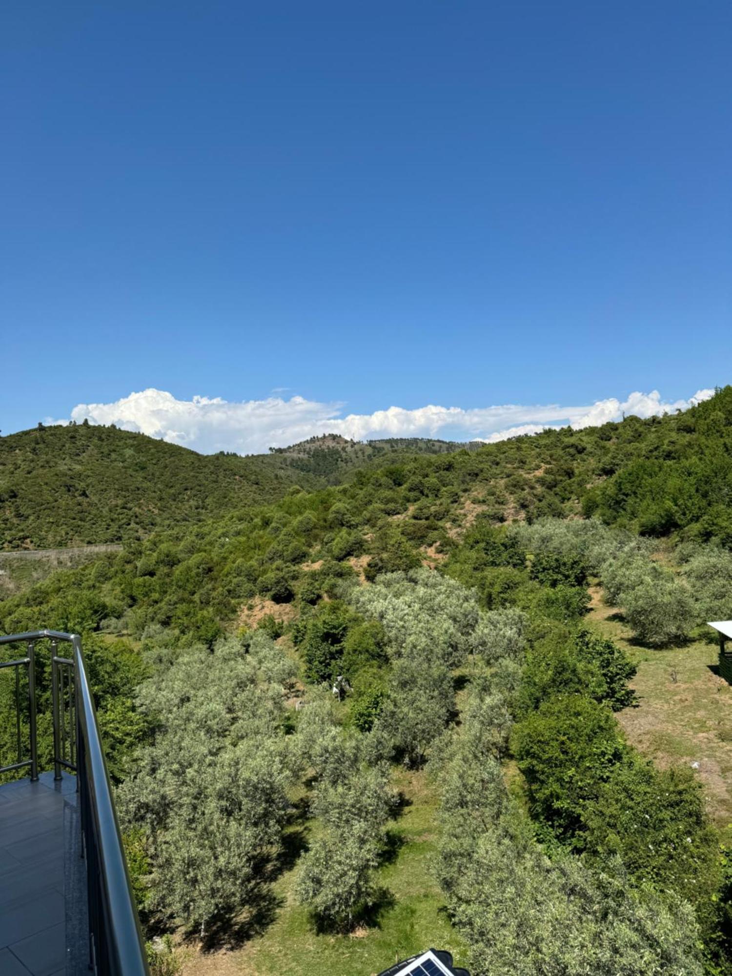 Qyteza Guest House & Camping Shkodër Екстериор снимка