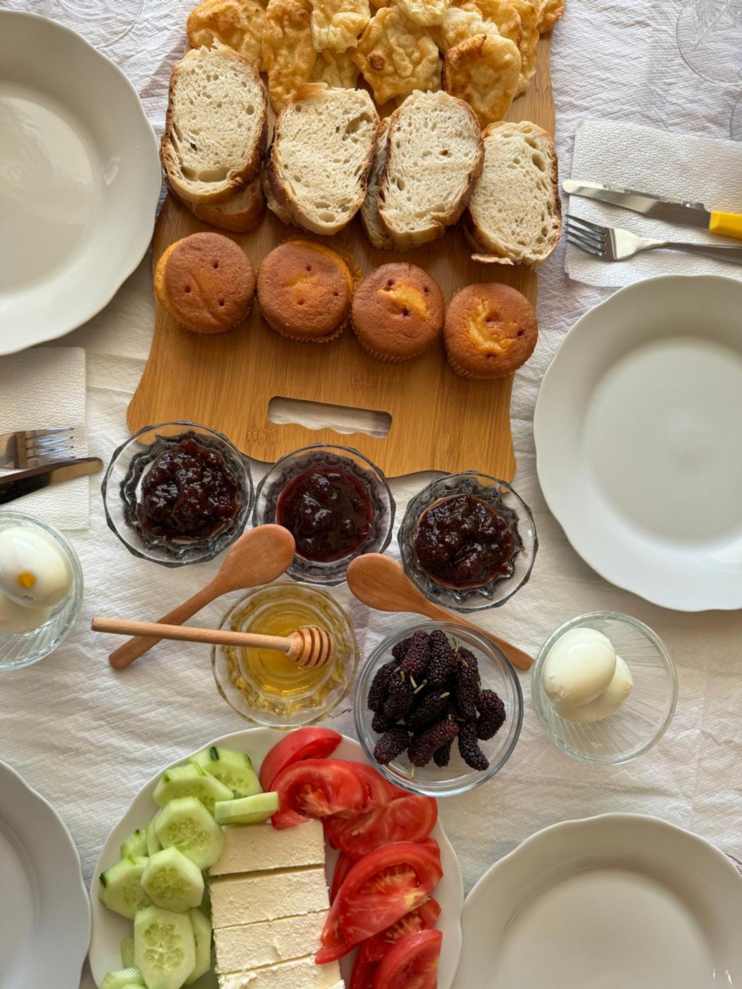 Qyteza Guest House & Camping Shkodër Екстериор снимка